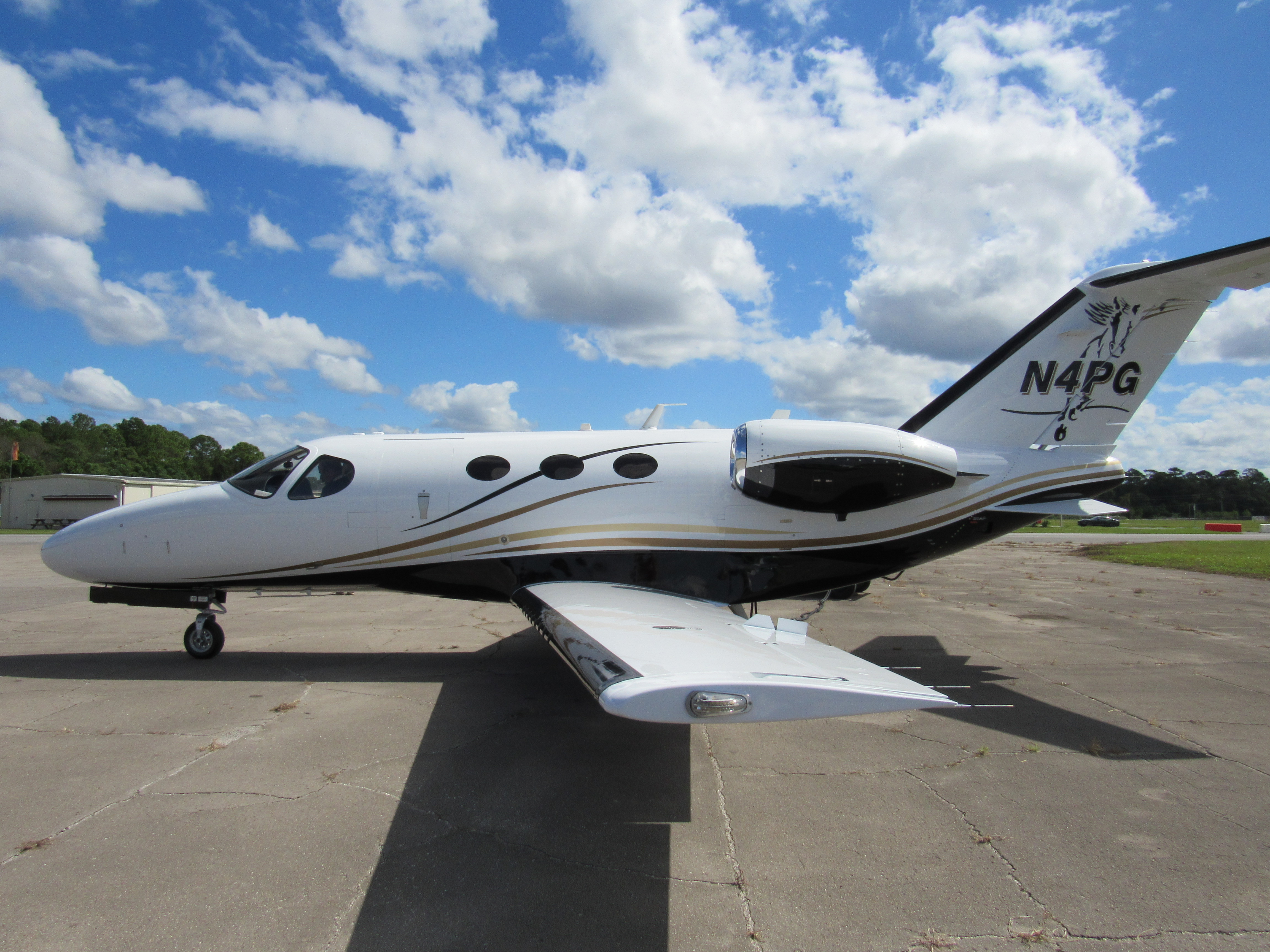 Aircraft painting project 088 by Flex Aero Painting